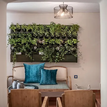 Apartment Agazade Bey *