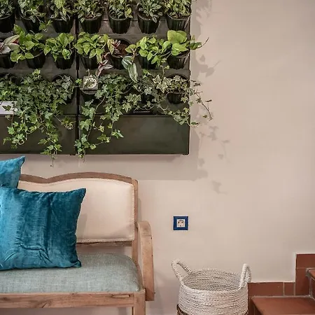 Apartment Agazade Bey *