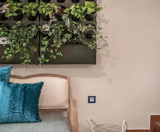 Appartement Agazade Bey *